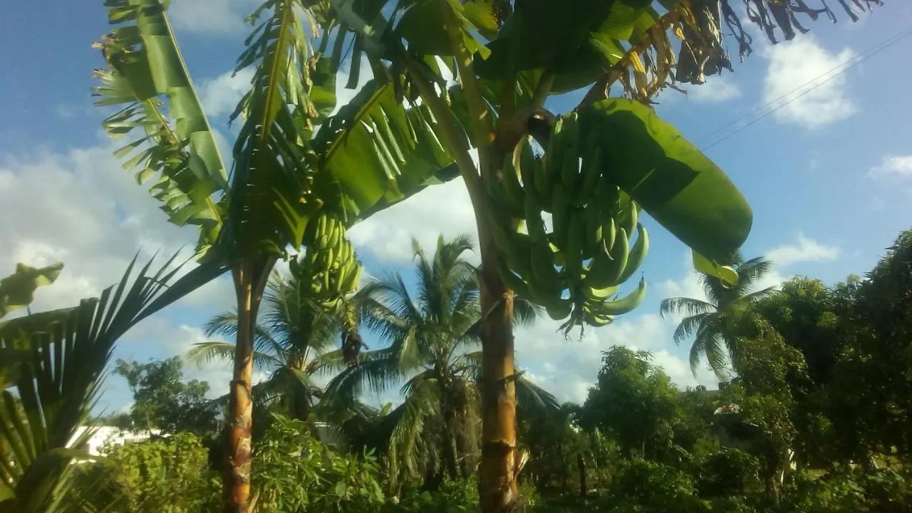 Holiday home El Conde De Villa Rosa Punta Cana